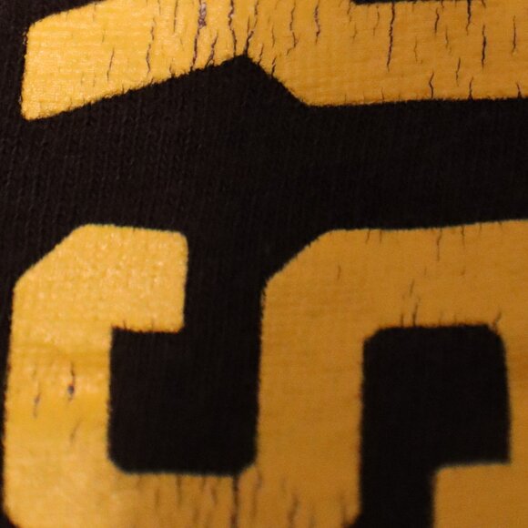 Pittsburg Steelers Delta Pro Weight Medium Short Sleeve Tee NFL Fandom Casual - Picture 8 of 13